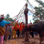 Tiwah,the Ritual of Death by the Dayak of Central Borneo