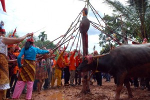 Tiwah,the Death Ritual by the Dayak of Central Borneo Sejumlah ahli waris yang dipimpin oleh pemuka agama Hindu Kaharingan