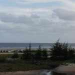 The Mangrove River Beach Attractions should be developed