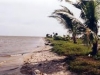 thumbs pantai tanjung penghujan Tanjung Penghujan Beach , Kotawaringin Barat